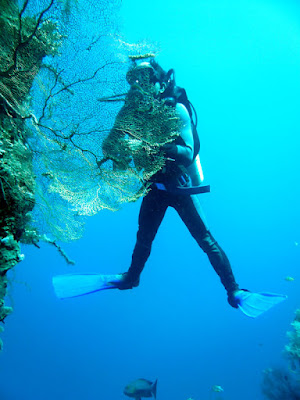 divemaster wayan looking for pygmy seahorse at Menjangan