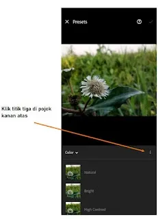 Cara Import Preset Lightroom di Android/iOS