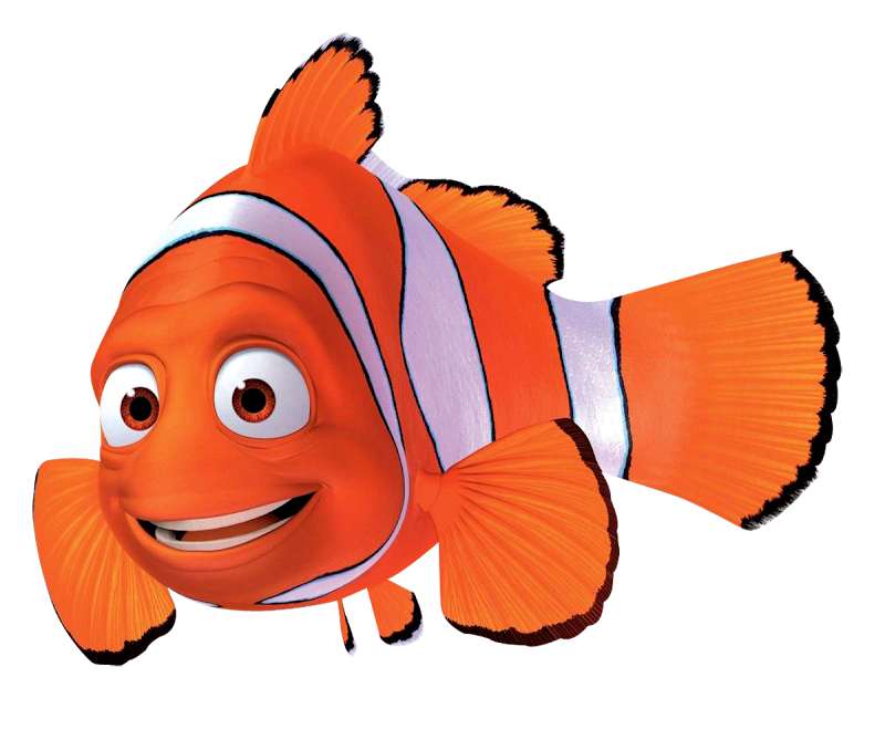 17+ Nemo PNG, Untuk Mempercantik Ruangan