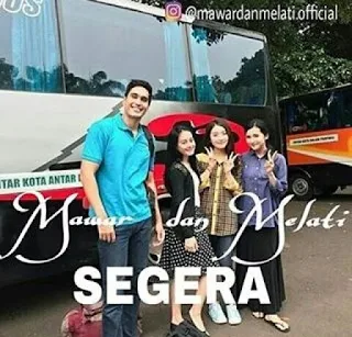 sinopsis jalan ceritA sinetron mawar dan melati sctv aliando wilona