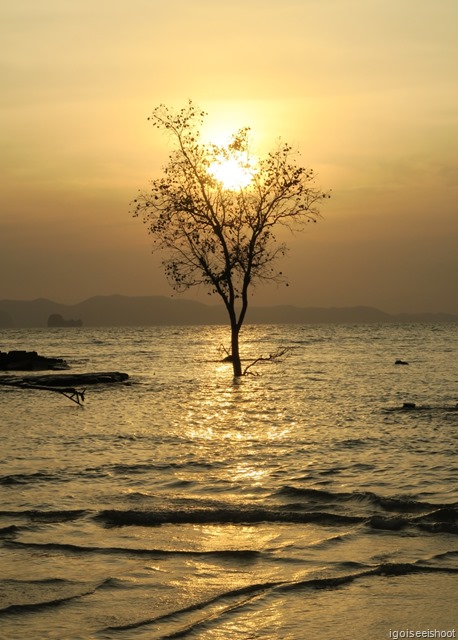 Klong Muang Beach next to Nakamanda Resort during low tide and sunset