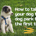 How to take your dog to the dog park for the first time