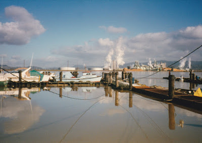 Flooding Aftermath in Rainier, Oregon, in February, 1996