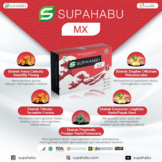 Supahabu MX | Pensiun Bahagia Ku