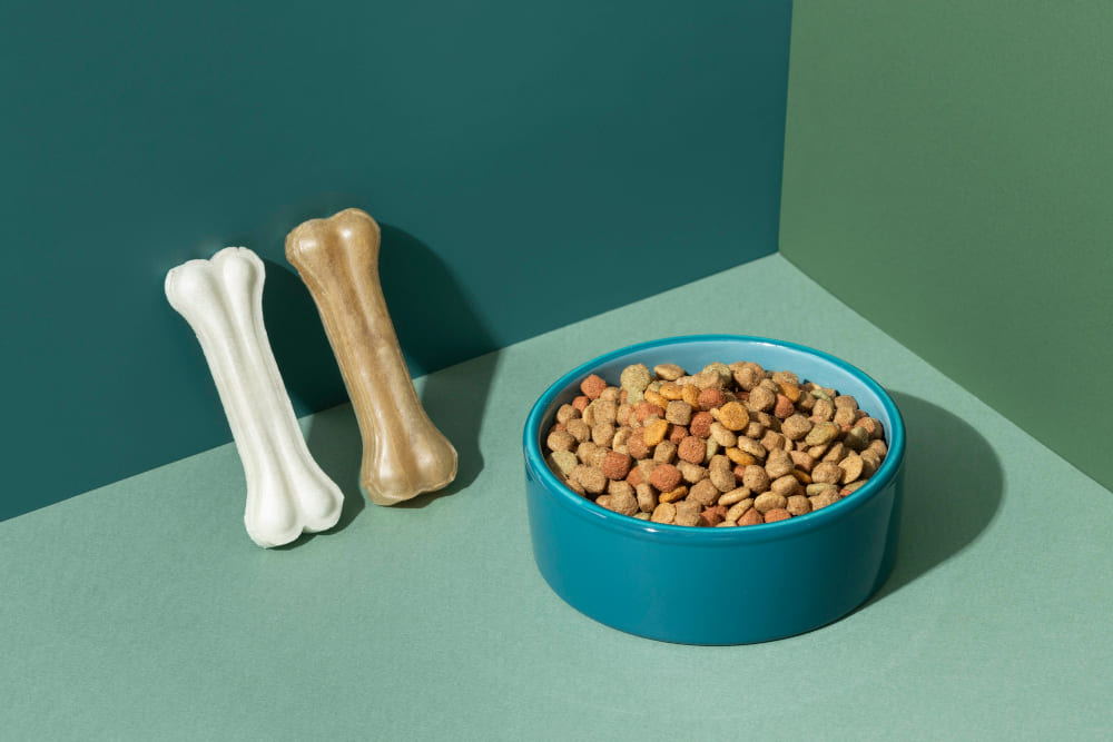 Can Humans Eat Dog Food? Find The Answer Here!