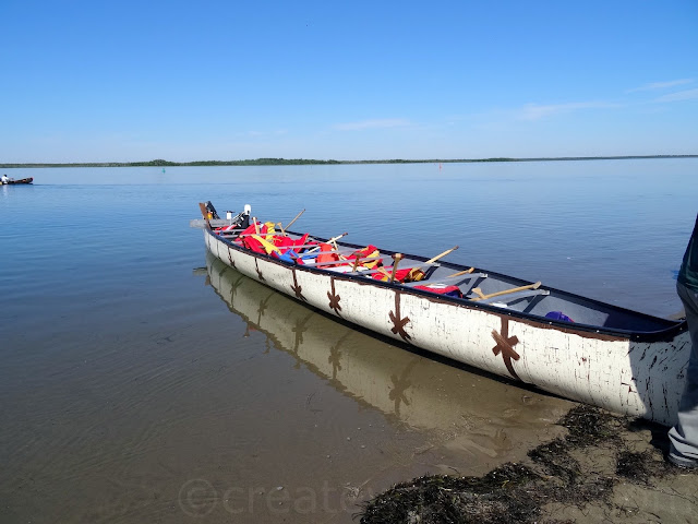 kouchibouguac national park miramichi new brunswick