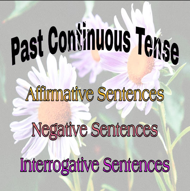 Past Continuous Tense: Affirmative, Negative & Interrogative Sentences