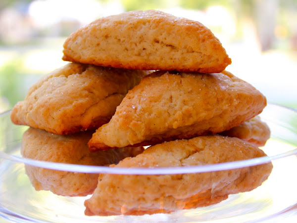 Vanilla Bean Scones