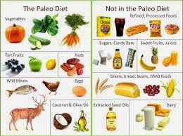 What Exactly IS the “Paleo Diet”???