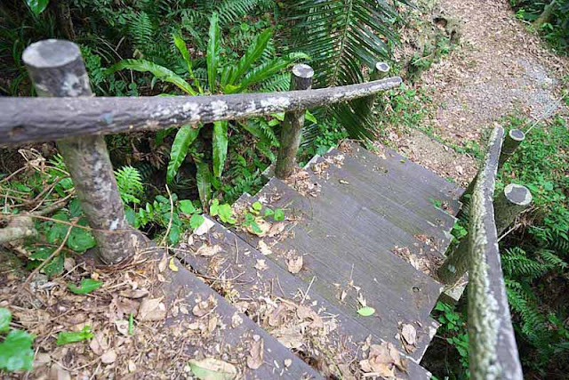 forest, trail, stairway, handrails, Okinawa