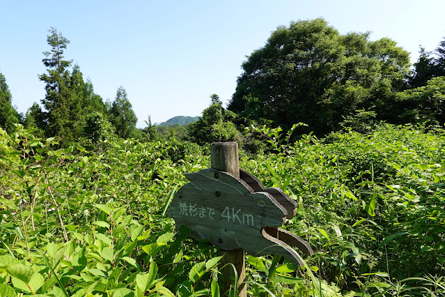 鳥取県西伯郡南部町東上 鎌倉山グリーンライン