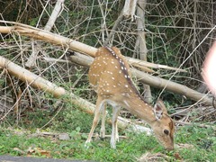 DSCN9878