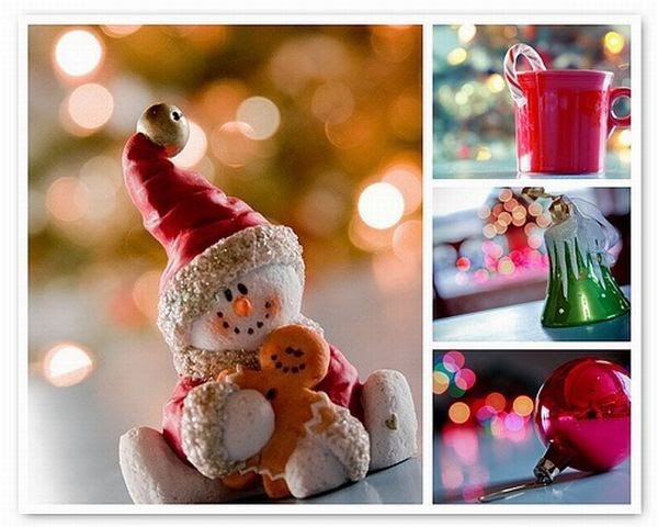 Christmas Decorations Tips By Best Home Garden