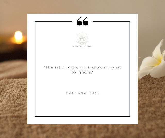 “The art of knowing is knowing what to ignore.”  - Maulana Rumi