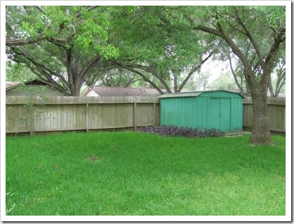 backyard8