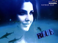 katrina kaif in blue