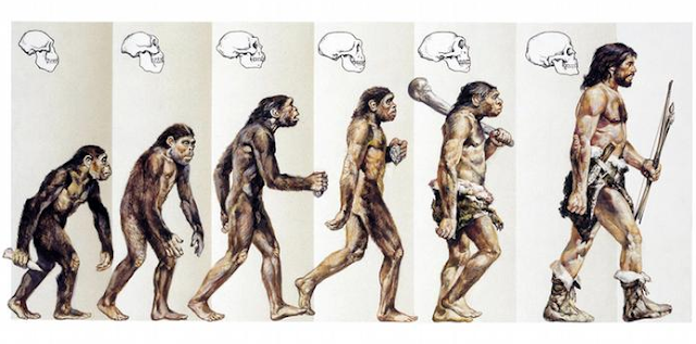 evolusi