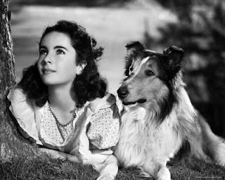 Lassie : Dog In Legend