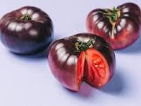 blue-tomato-purple-tomato