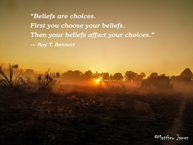 'Beliefs are choices. First you choose your beliefs. Then your beliefs affect your choices.' - Roy.T.Bennett