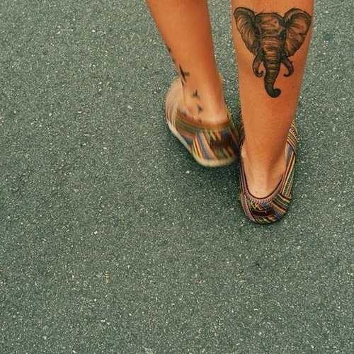 elefante_tatuagens_51