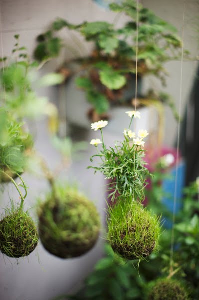 http://luxuryfurniturehomedesign.blogspot.com/2010/05/how-to-make-your-own-kokedama.html