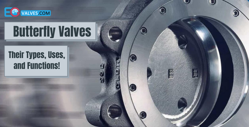 Butterfly Valves - Their Types, Uses, and Functions!