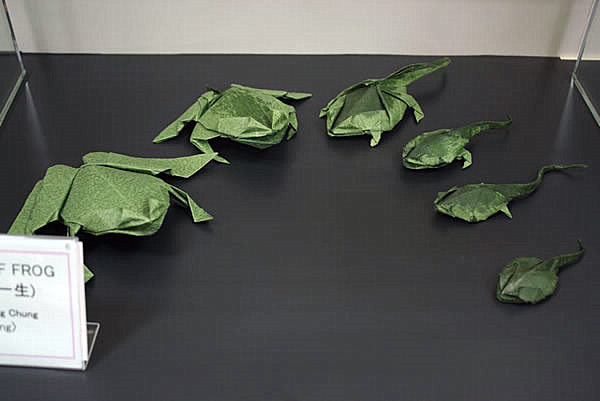 cara membuat origami katak