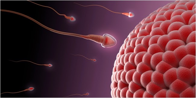 Azoospermia, Penyebab, Gejala Dan Pengobatan