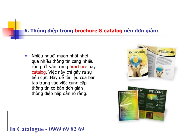 thiết kế catalogue