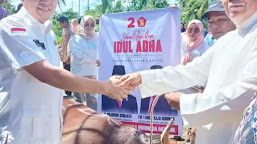 Hari Raya Iduladha 1444 Hijriah, DPD Partai Gerindra Lampung Qurban 16 Ekor Sapi 