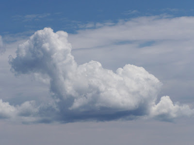 Clouds That Look Like