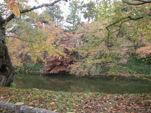 DSC03363