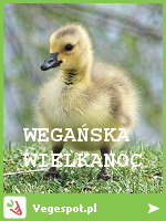 Wegańska Wielkanoc 2014