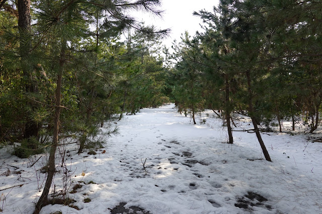 鳥取県米子市二本木 米子東病院