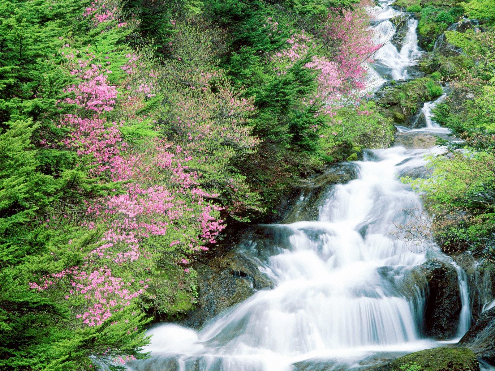 Download this Animated Waterfall Wallpaper picture