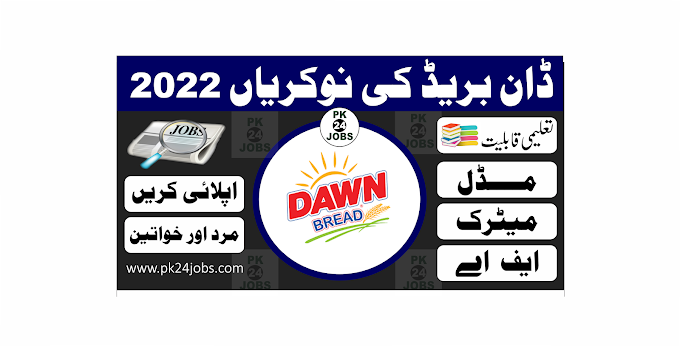 Dawn Bread Jobs 2022 – Today Jobs 2022