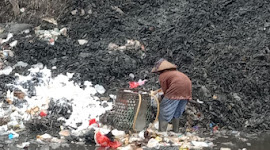 Lalat Menjadi Teman Setia Pejuang Lingkungan