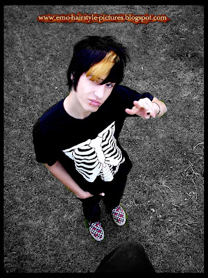 http://emo-hairstyle-pictures.blogspot.com/2009/09/emo-hair-cut-vans-boy. 