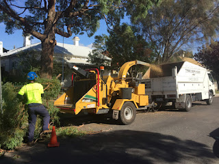 Tree Services Melbourne