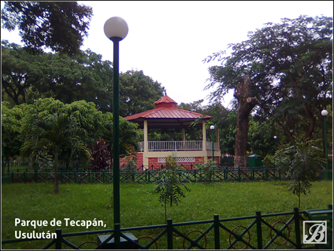tec6