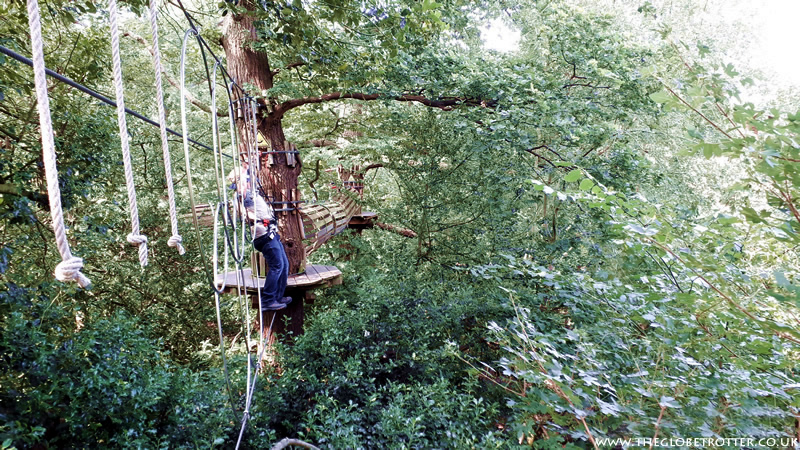 Tree Crossings at Go Ape Cockfosters