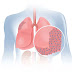 How Is Life Expectancy Affected by Cell Type?