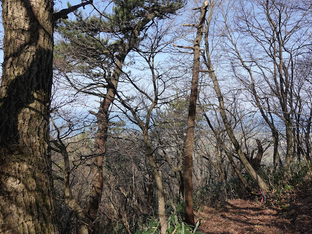 孝霊山　中腹の急な坂道