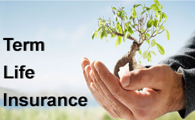 http://excess-insurance.blogspot.com/2015/07/types-of-life-insurance-in-indonesia.html