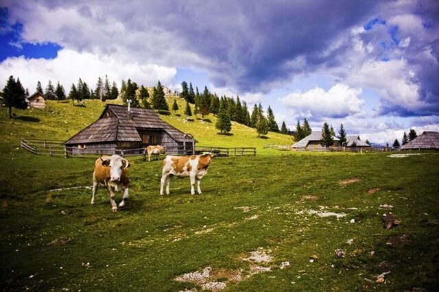 Velika Plenina - Slovenia