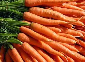 Carrots (priority)