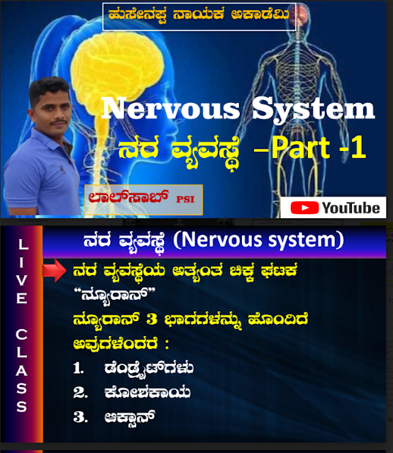 Nervous system Part - 1.pdf : ನರಮಂಡಲದ ವ್ಯವಸ್ಥೆ ಭಾಗ - 1. ಪಿಡಿಎಫ್
