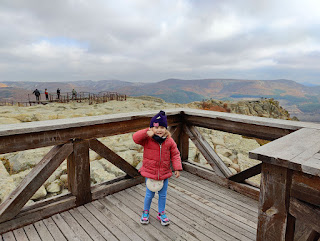 Rosie on top of the tower