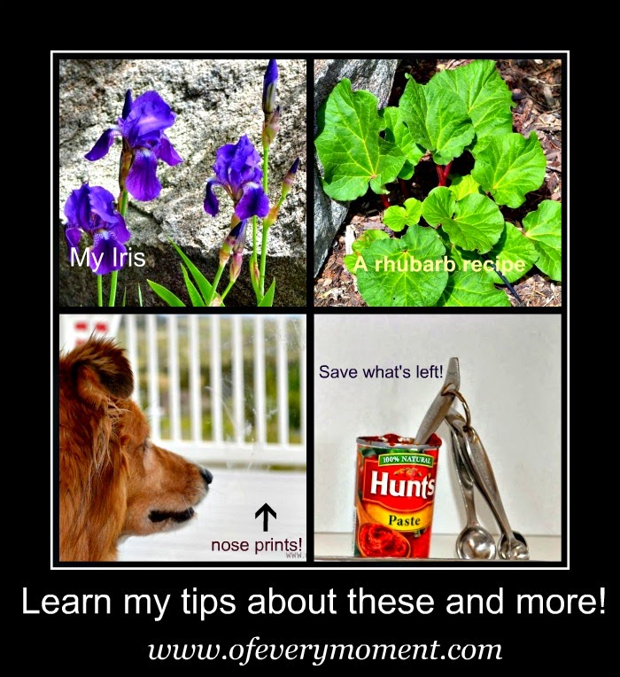 tips, window cleaning, iris, rhubarb, tomato paste, 
